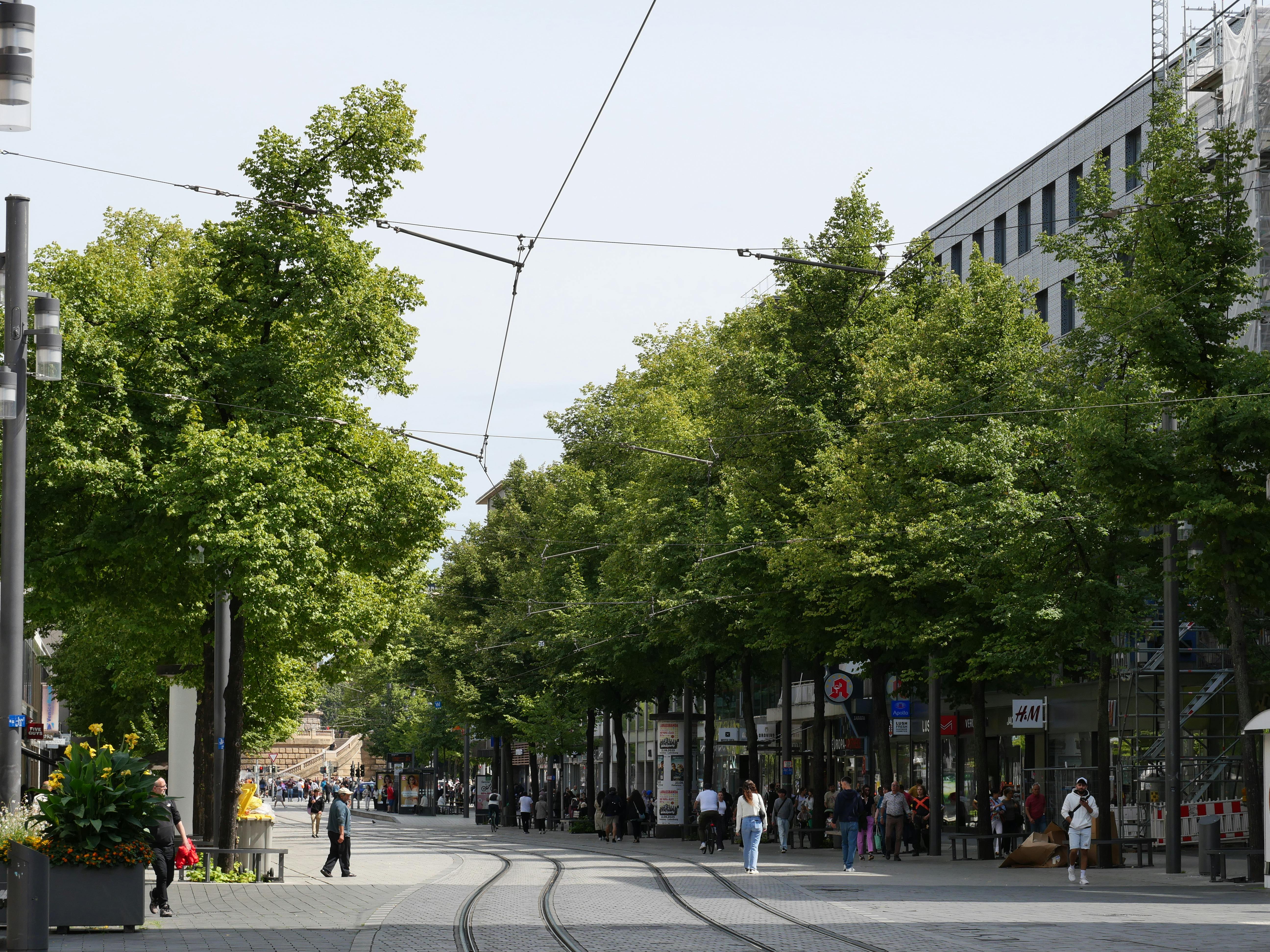 Discover the bustling city life on a tree-lined street in Mannheim, Germany, captured on a sunny day.